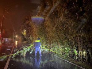 豪雨造成竹林倒塌，龍潭警深夜冒雨鋸竹維護用路安全。