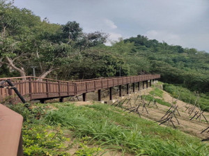 登山步道延伸到阿罩霧山。林重鎣