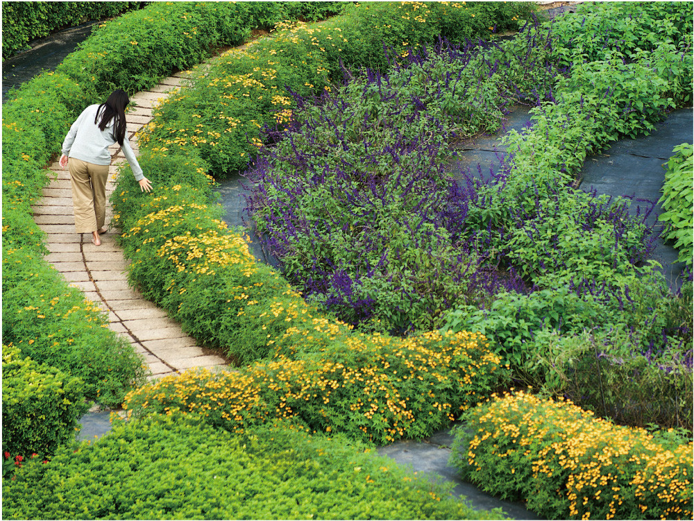 全臺獨有一座香草能量圓形有機香草能量迷宮花園，也是著名的療癒花園, 以薰衣草、萬壽菊、迷迭香等香草植物組成。