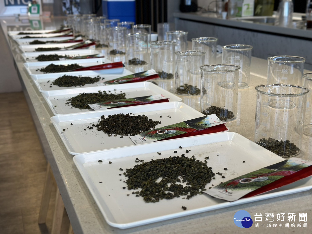 在地業者與廠家提出近70件茶樣讓評審評選。（名間產業觀光發展協會提供）