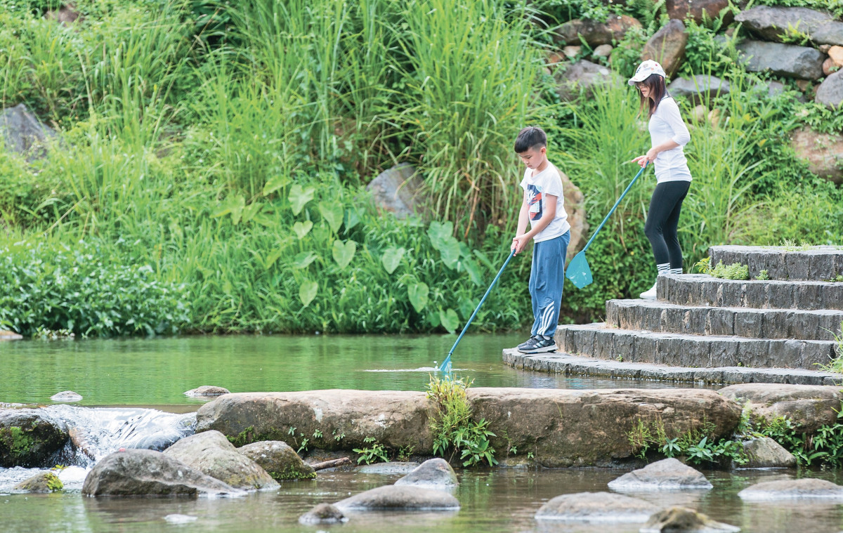 大溝溪生態治水園區生態豐富，也有清涼小溪可以戲水。