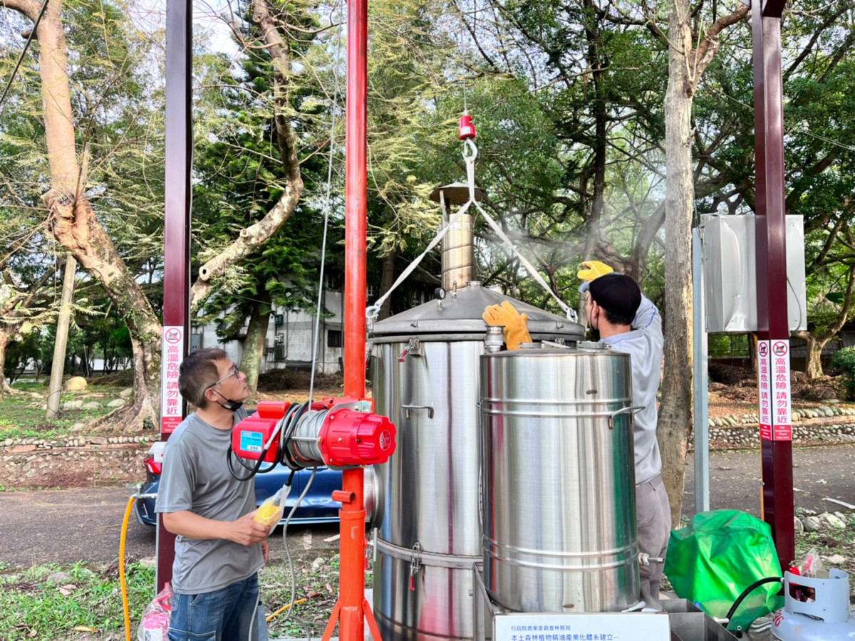 以水蒸氣蒸餾法萃取林木精油