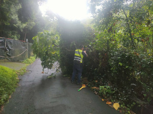 員警以手鋸、鐮刀砍斷倒塌的路樹，經30分鐘的努力，恢復道路通行。