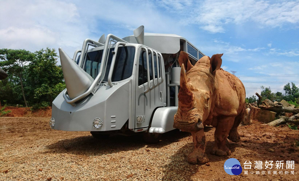 參加「動物保育教育營對」，搭乘「犀望巴士」進入犀牛展場近距離觀察其日常
