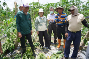 杜蘇芮颱風屏東農損超過千萬　周春米勘災籲立即陳報