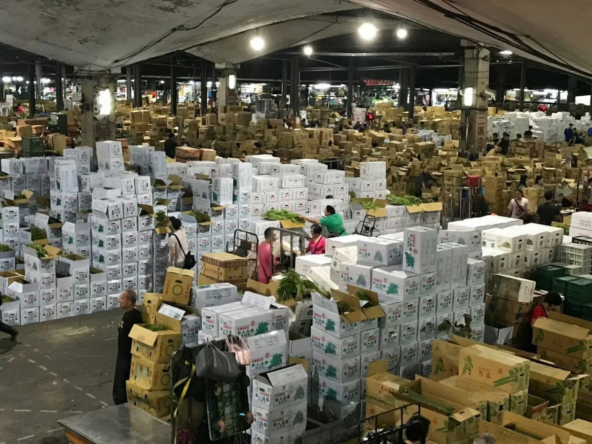 中颱卡努讓民眾忙搶菜　北市市場處：產地蔬菜供應影響小，民眾無須搶購