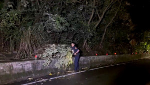 路樹倒塌阻礙通行，警不畏風雨緊急移置。