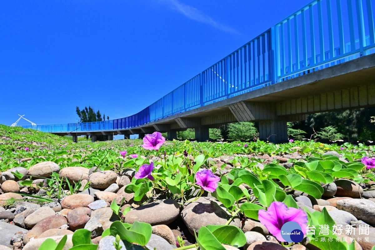松柏漁港景觀橋