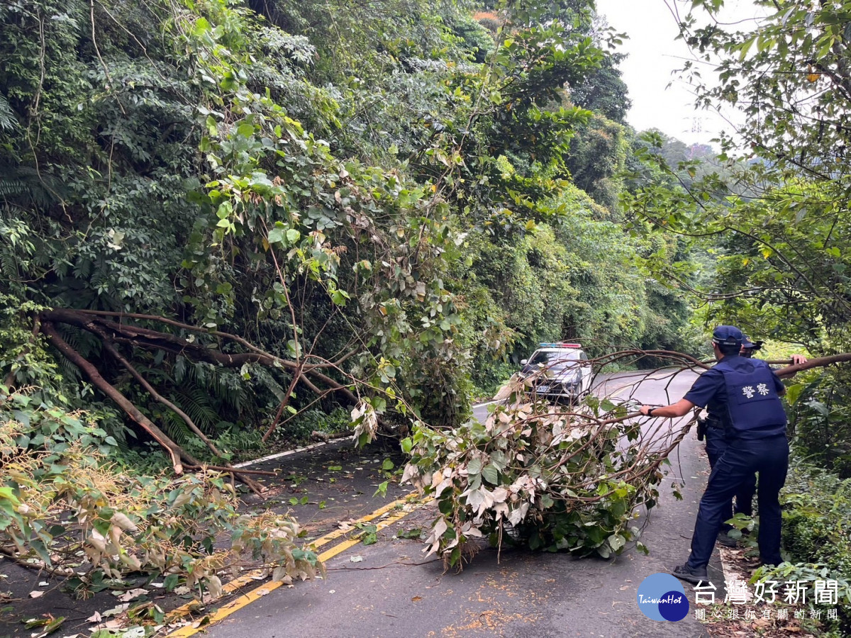路樹不敵颱風襲擊，龍潭警徒手移樹交通管制及排除道路障礙。