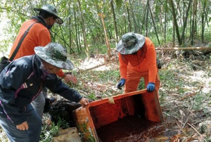 雲林縣衛生局再次提醒，雨後容易產生積水容器，易形成登革熱病媒蚊孳生源，應儘快檢視家戶內外積水容器，主動清除積水／陳致愷翻攝