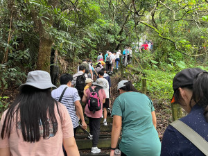 開心健行享受挑夫古道的林蔭美景。