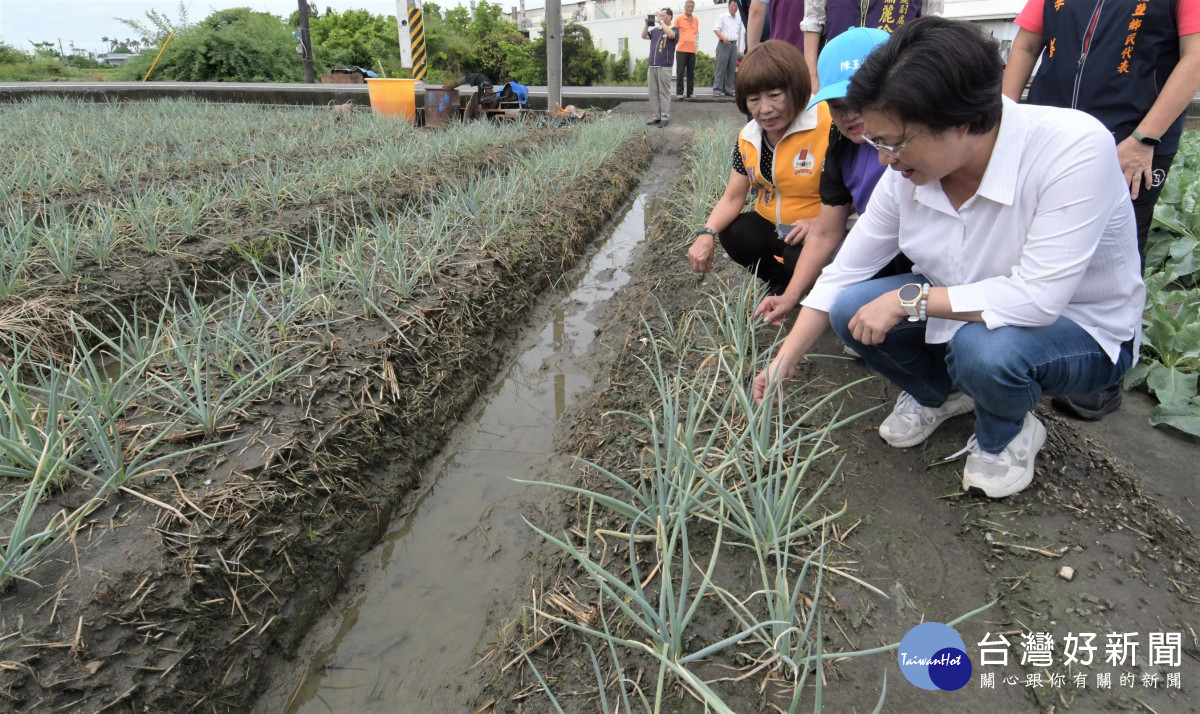 海葵颱風過後，王惠美關心埔鹽地區青蔥、花椰菜農損情形。圖／彰化縣政府提供
