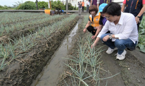 海葵颱風過後，王惠美關心埔鹽地區青蔥、花椰菜農損情形。圖／彰化縣政府提供