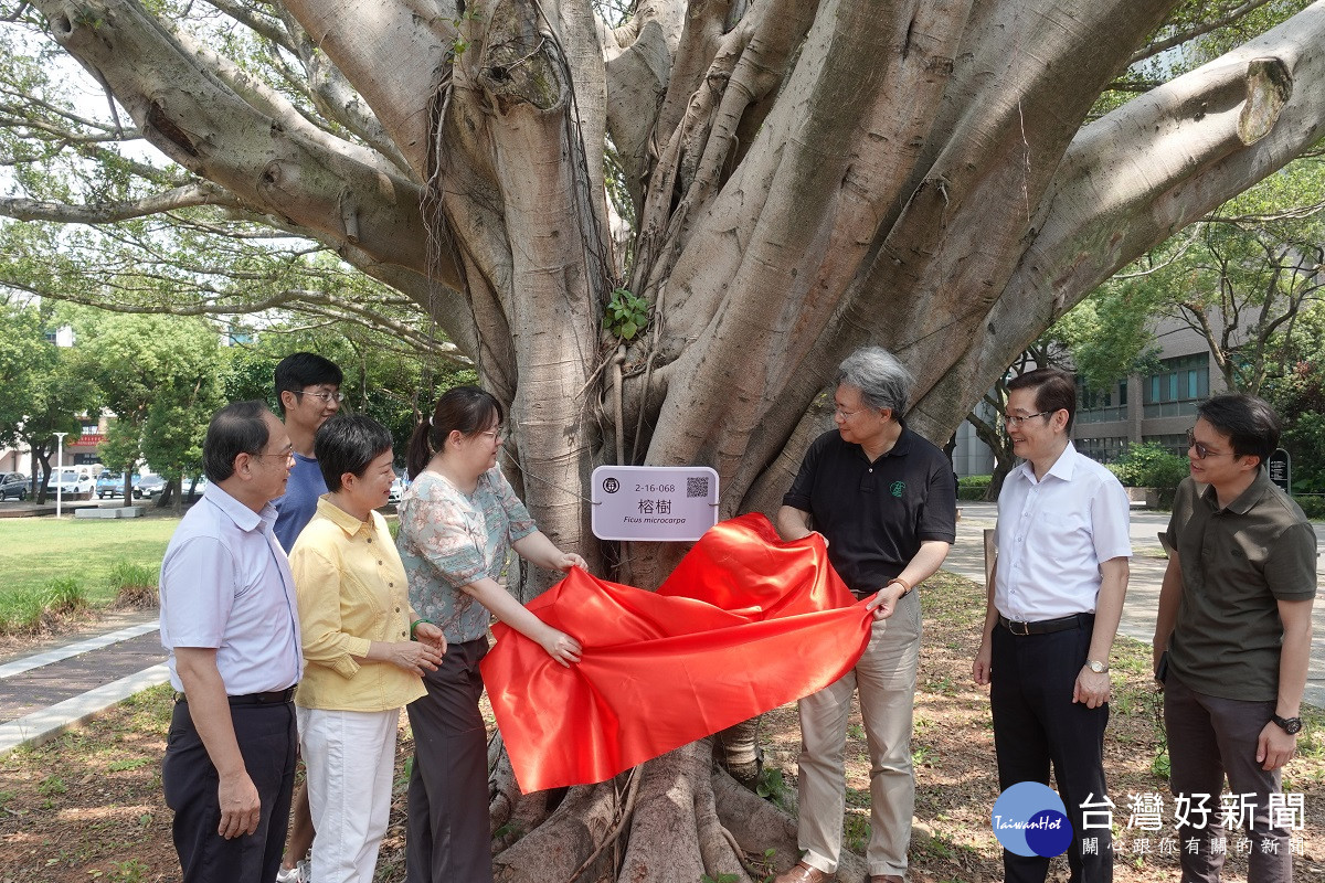 中原大學舉行樹木揭牌典禮，表達對環境保護與實踐永續發展的堅定信心與決心。