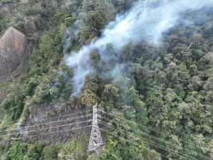 八仙山事業區第94林班地發生森林火災。