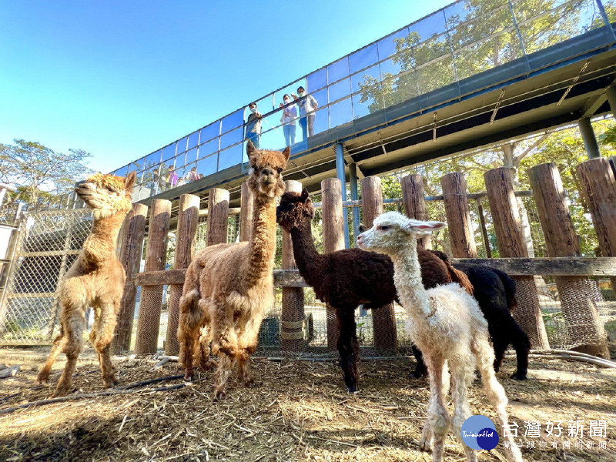 ▲高市壽山動物園榮獲「台灣建築獎」首獎。