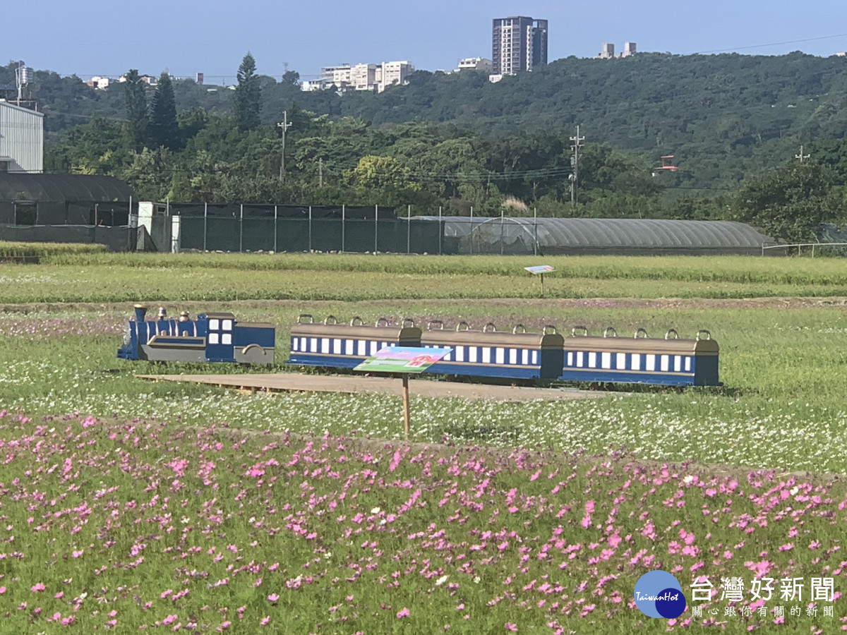 桃園花彩節大溪月眉登場。<br />
