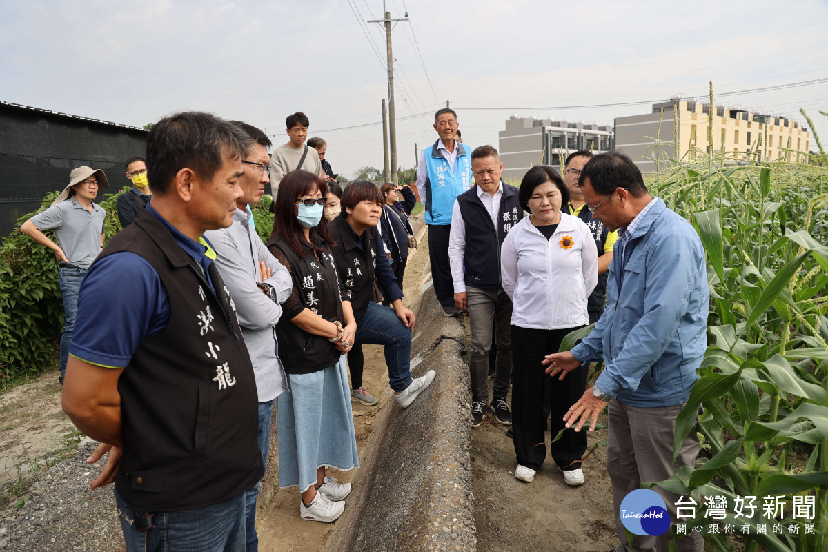 小犬颱風作物損害勘查鑑定疑議，造成農民恐慌，縣長張麗善今(14)日邀集農業部臺南區農業改良場朴子分場長游添榮到土庫食用玉米田區，指導勘查人員認定標準／林詩涵翻攝