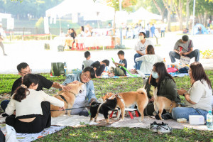 盧市長在坪林森林公園與民同樂