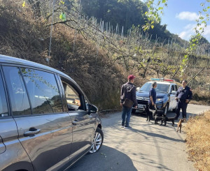 陳男設定導航欲前往大安教會，卻引導至狹小產業道路，車子右側2輪又爆胎無法行駛。