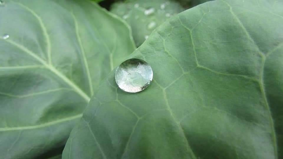 鋒面快速通過　中部以北明顯降雨