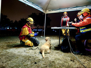 領犬員黃國峰及搜救犬HENIN參與認證。