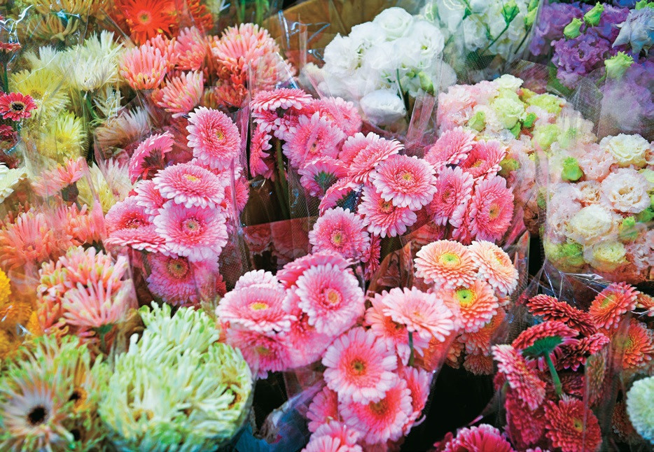 年節期間，花型圓潤、顏色鮮豔的花卉廣受歡迎。