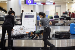 農業部動植物防疫檢疫署人員帶檢疫犬執行行李查驗工作（圖／資料照片，圖源：行政院新聞傳播處）