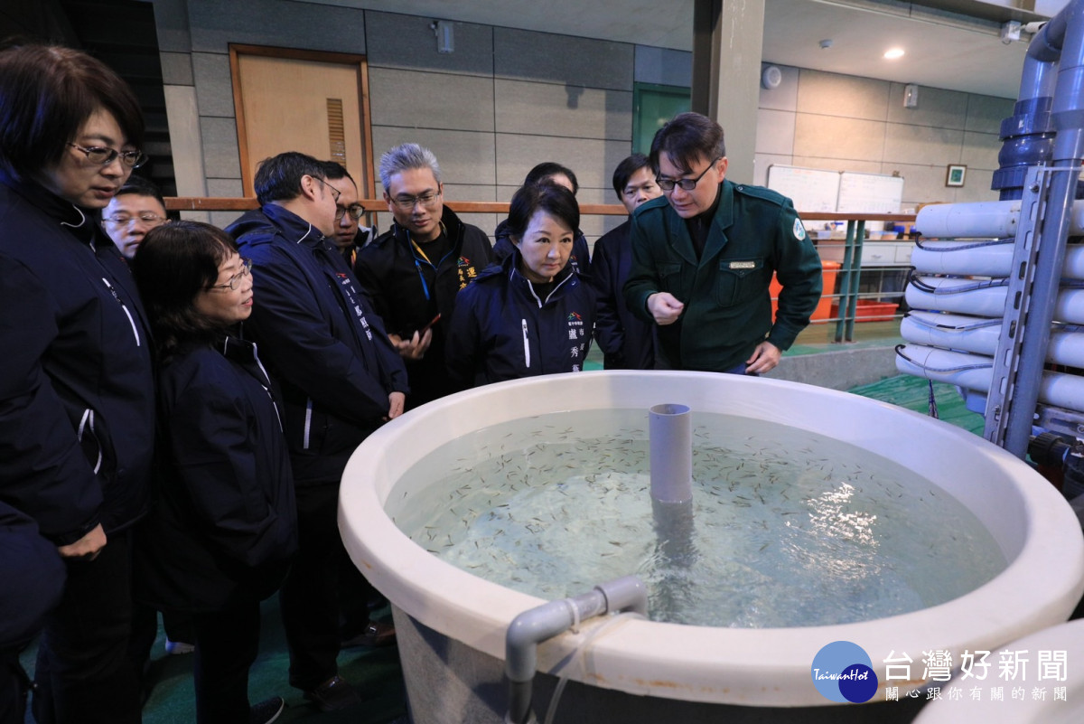 台中市長盧秀燕視察雪霸國家公園台灣櫻花鉤吻鮭種源庫。