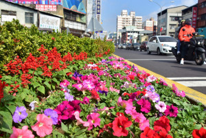 進化北路與北屯路口分隔島花卉