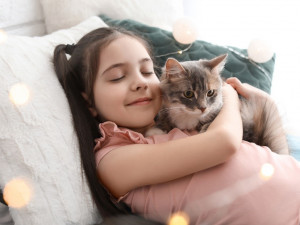 小心毛小孩的蟲蟲危機　專家：居家貓咪也需要預防心絲蟲