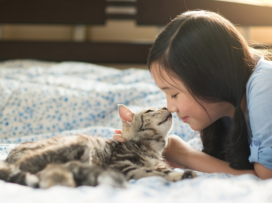 Virbac 維克建議：預防居家貓咪感染心絲蟲，也要留意自身與寵物親密互動時寄生蟲傳染的風險