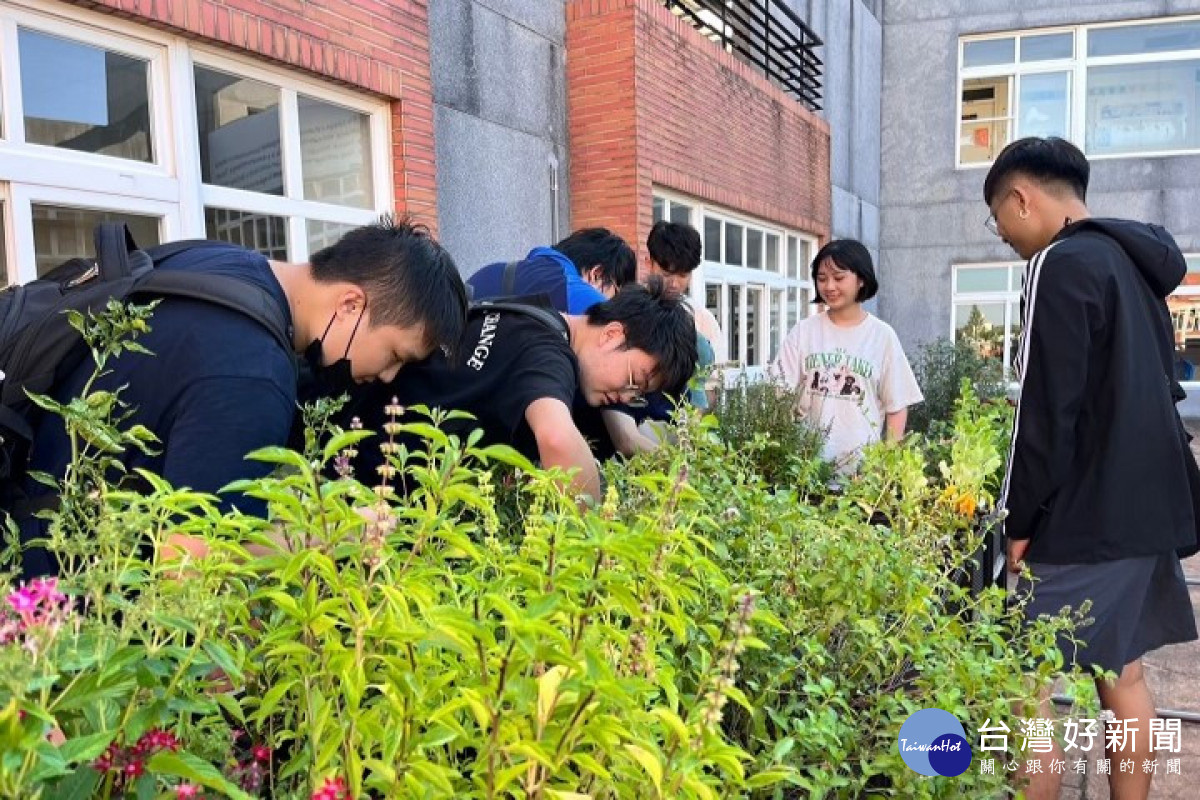 中華大學景觀建築學系同學們細心照料「低碳空中花園」植栽。