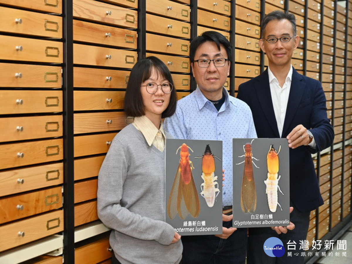 台灣白蟻家族再添新成員　中興大學團隊發表二新種