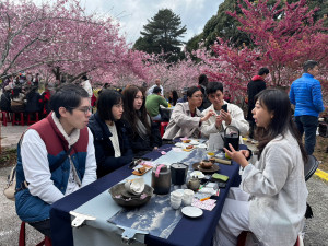 2024「櫻為幸福 封茶藏富品茗茶會」將於千櫻園舉行。