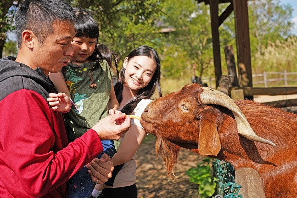草原歷險適合各年齡層遊客，帶你探訪六福村動物王國各物種的棲息地。