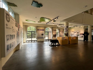 「與熊共存-臺灣黑熊特展」豐富的圖文內容，帶民眾認識臺灣國寶的身家背景及其相關的研究過程。（）