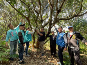 為保護登山遊客安全，太平區公所避開中彰投雲地區荔枝椿象化學共同防治期，13日在咬人狗坑步道長青運動廣場旁辦理荔枝椿象生物防治工作。（圖/太平區公所）