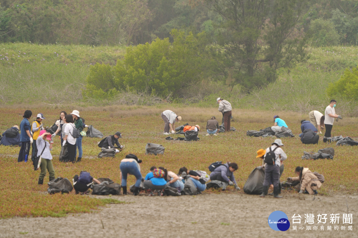 配合香山濕地復育　60名師生參與台灣旱招潮棲地維護　