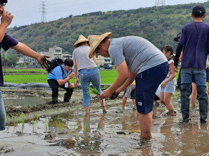 富華創新在兒童節前夕舉辦「村邊綠秧秧、親子樂春遊」活動，大人小孩一起挽袖插秧，體驗農家樂趣。圖片提供／業者