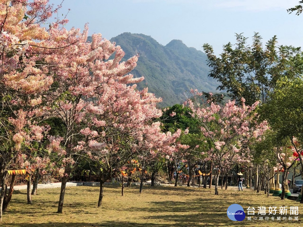 清明連假來台南　享受春季繁花勝景