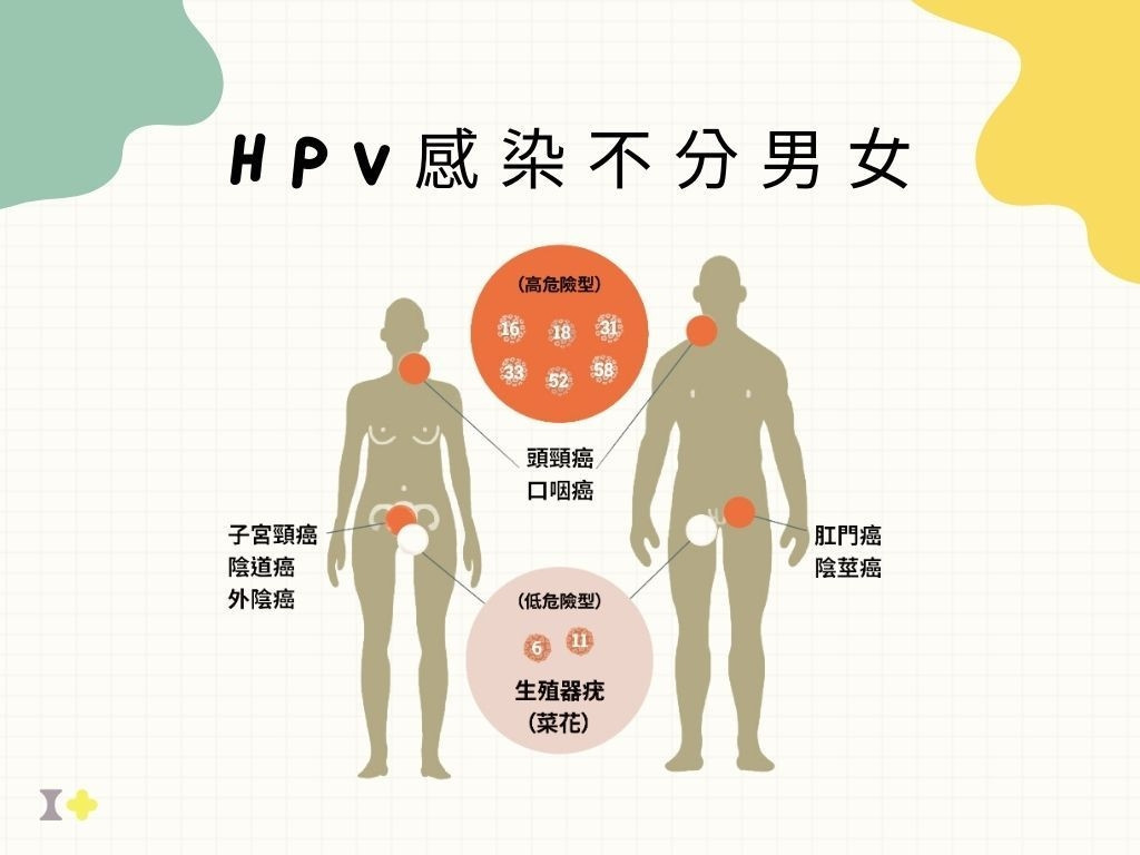 嘉市國中生接種HPV疫苗服務　4/19開跑