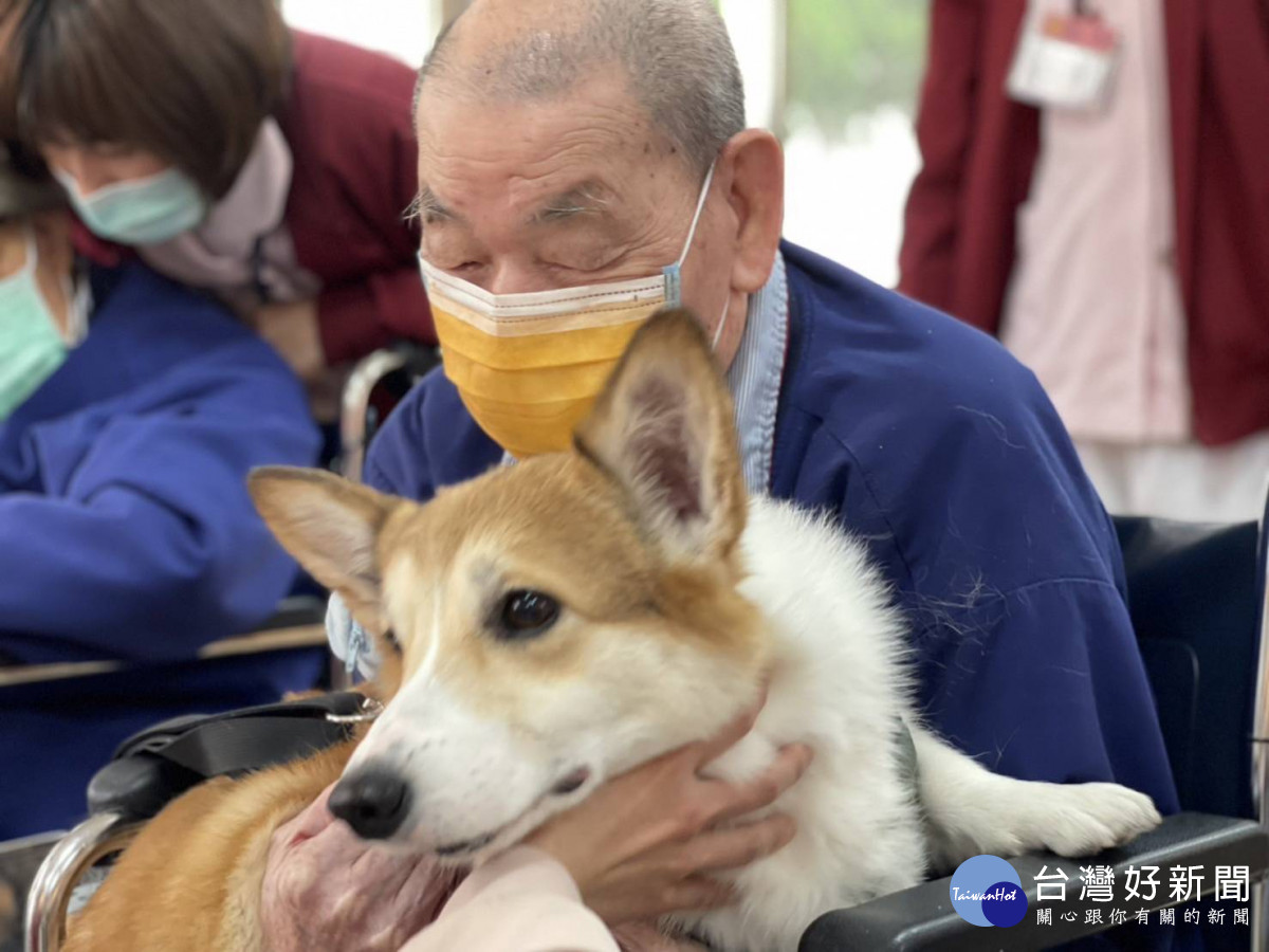治療犬暖心互動　北榮新竹分院護理之家洋溢歡樂氛圍