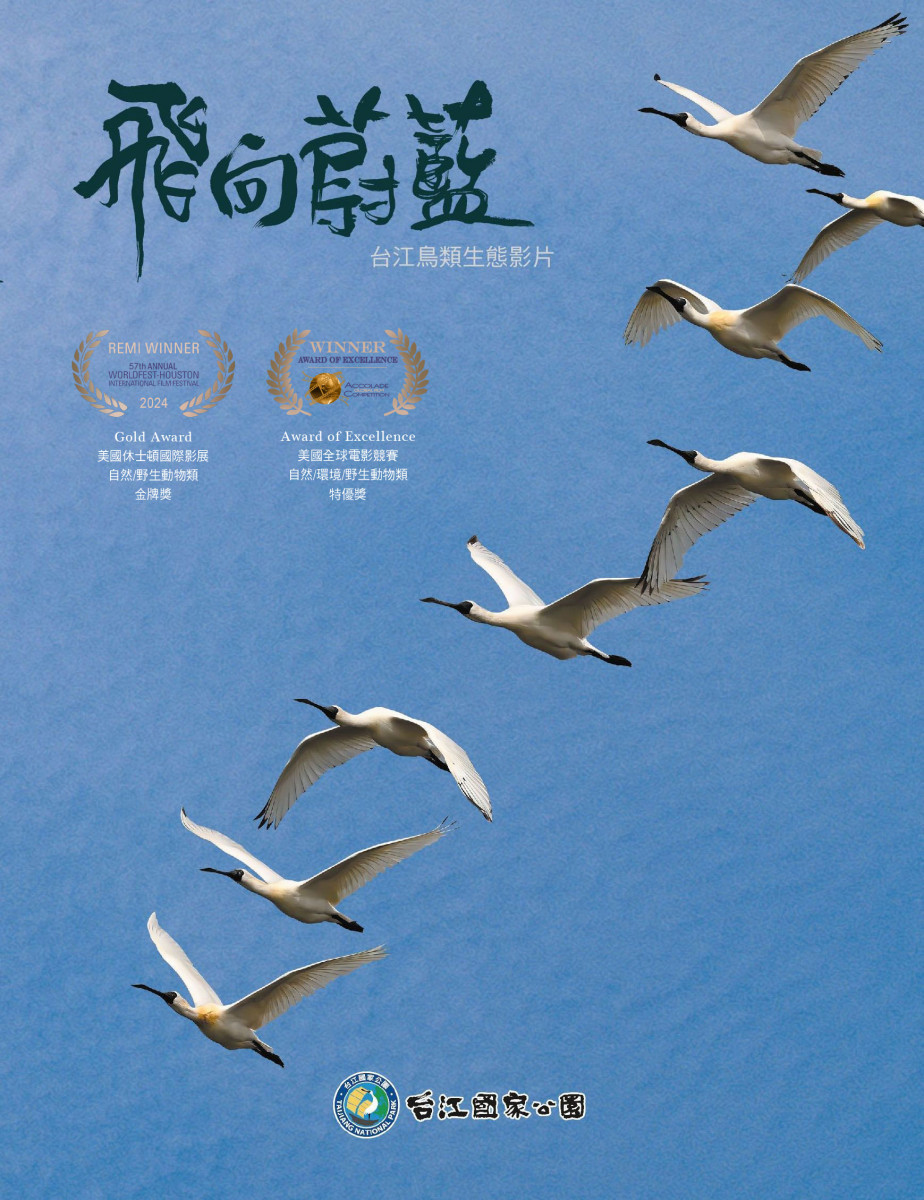 台江處委託廖東坤導演拍攝《飛向蔚藍》　榮獲2項國際大獎