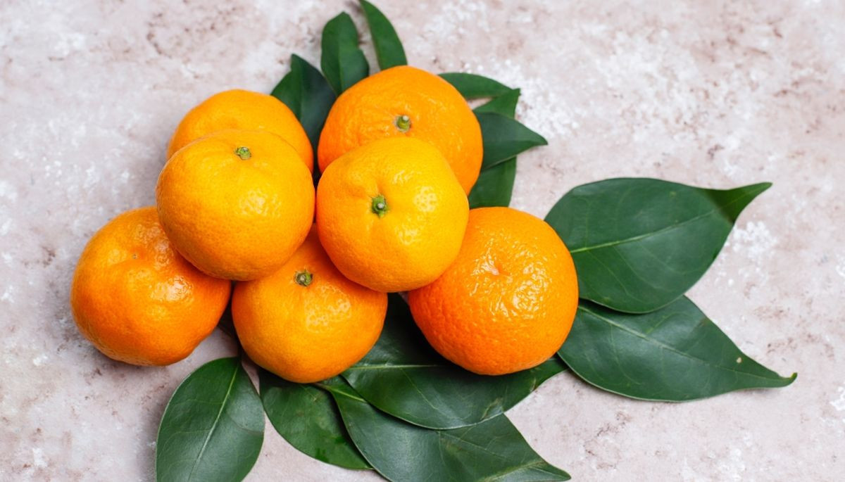 小林製藥引發紅麴風暴　柑橘類黃酮成替代新選擇