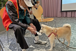 阿公餵犬齡14歲療癒犬Piu Piu吃東西。（弘光科大提供）