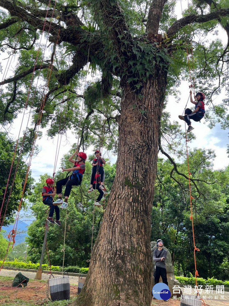 童軍活動--攀樹挑戰。