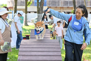 ▲高市楠梓寵物公園熱鬧舉辦好伴公園活動。