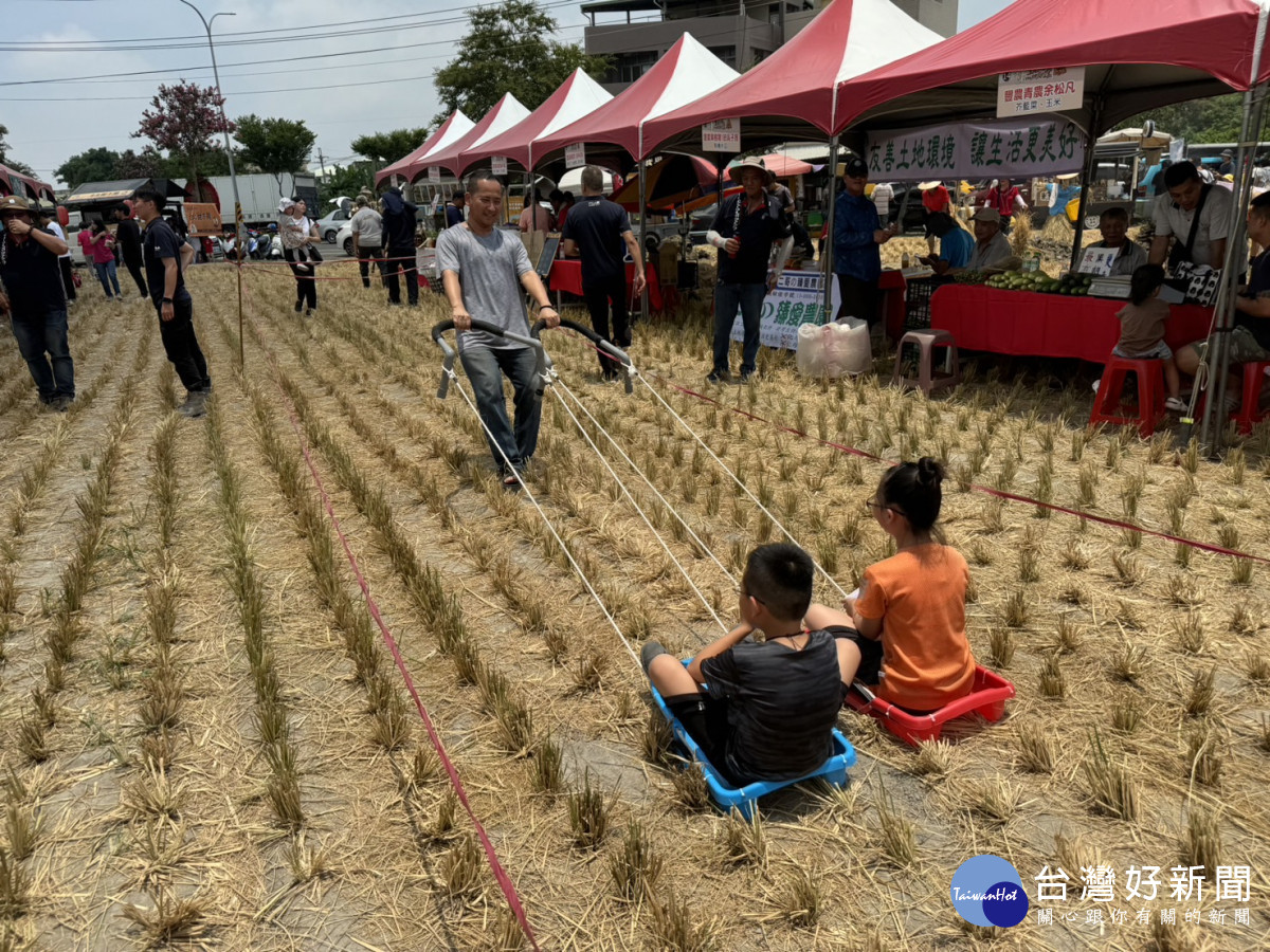 大人拉小孩體驗古早耕牛拉犁趣味。