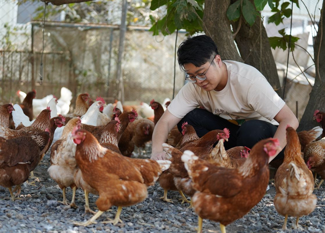 台南晶英與追求人道飼養與自然放牧的蛋農「長短樹放牧蛋」合作，為永續美食鋪路